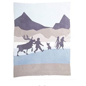 Barefoot dreams Disney throw